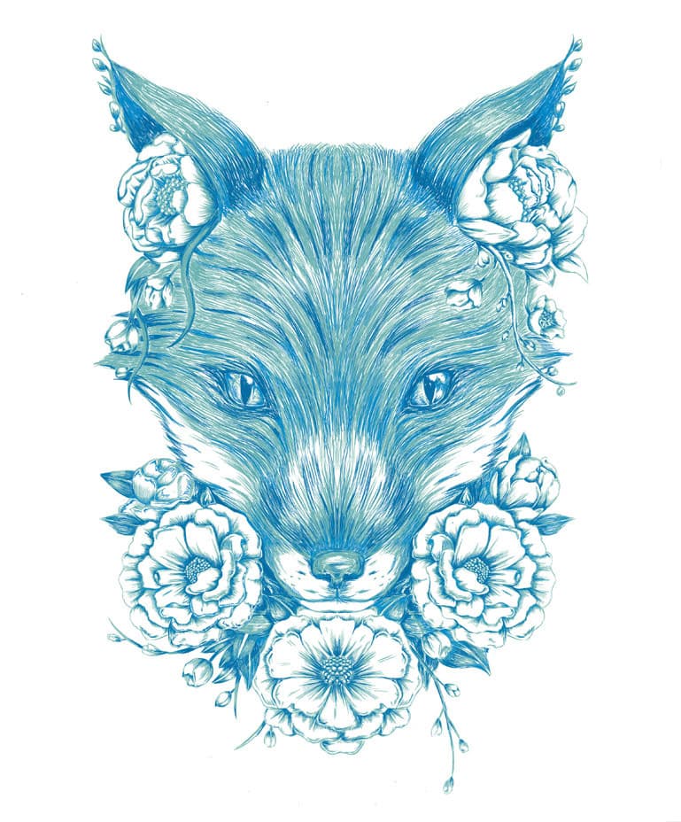 Illustration of fox