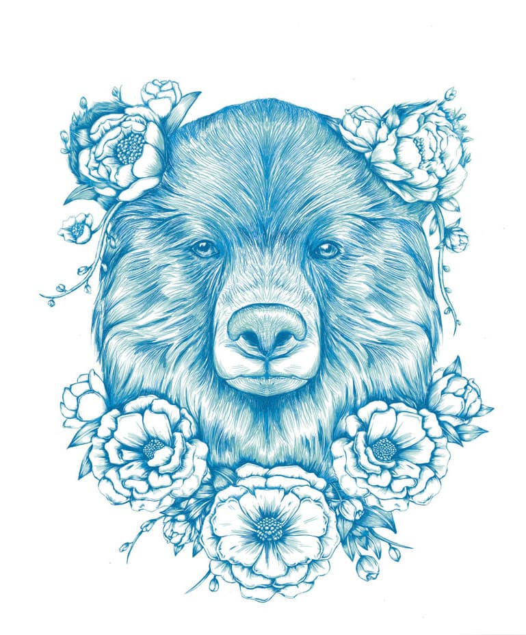 Illustration of bear