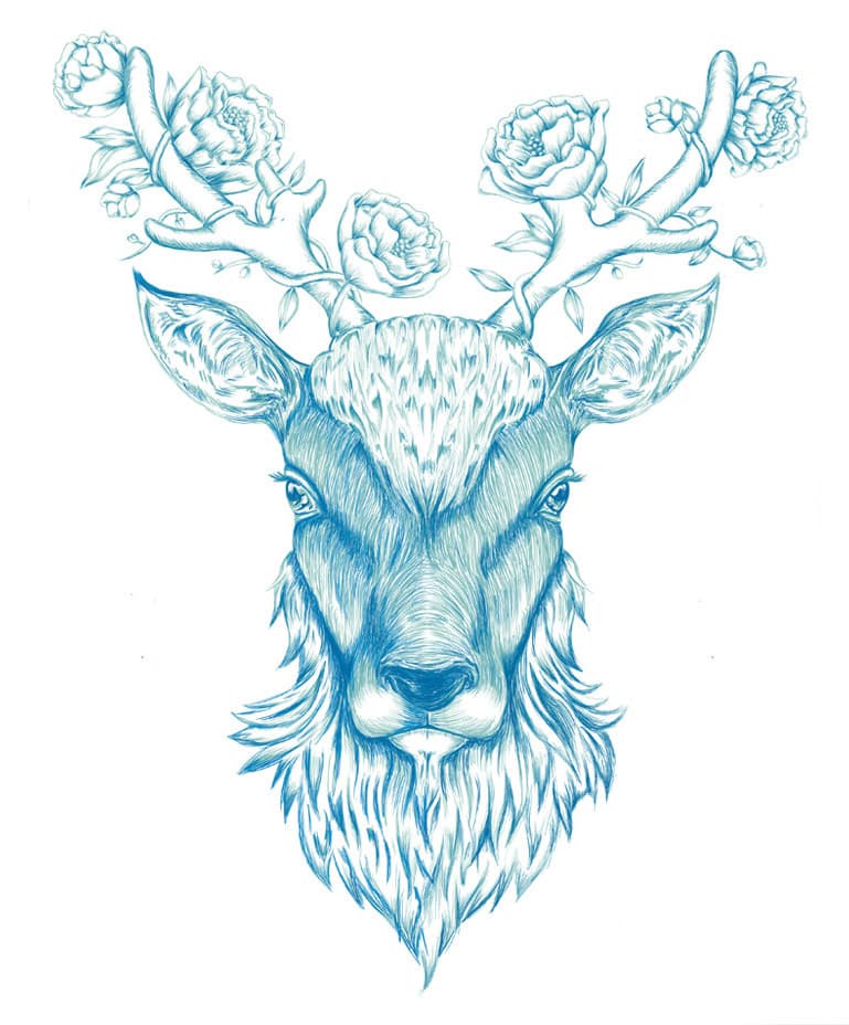 Illustration of deer