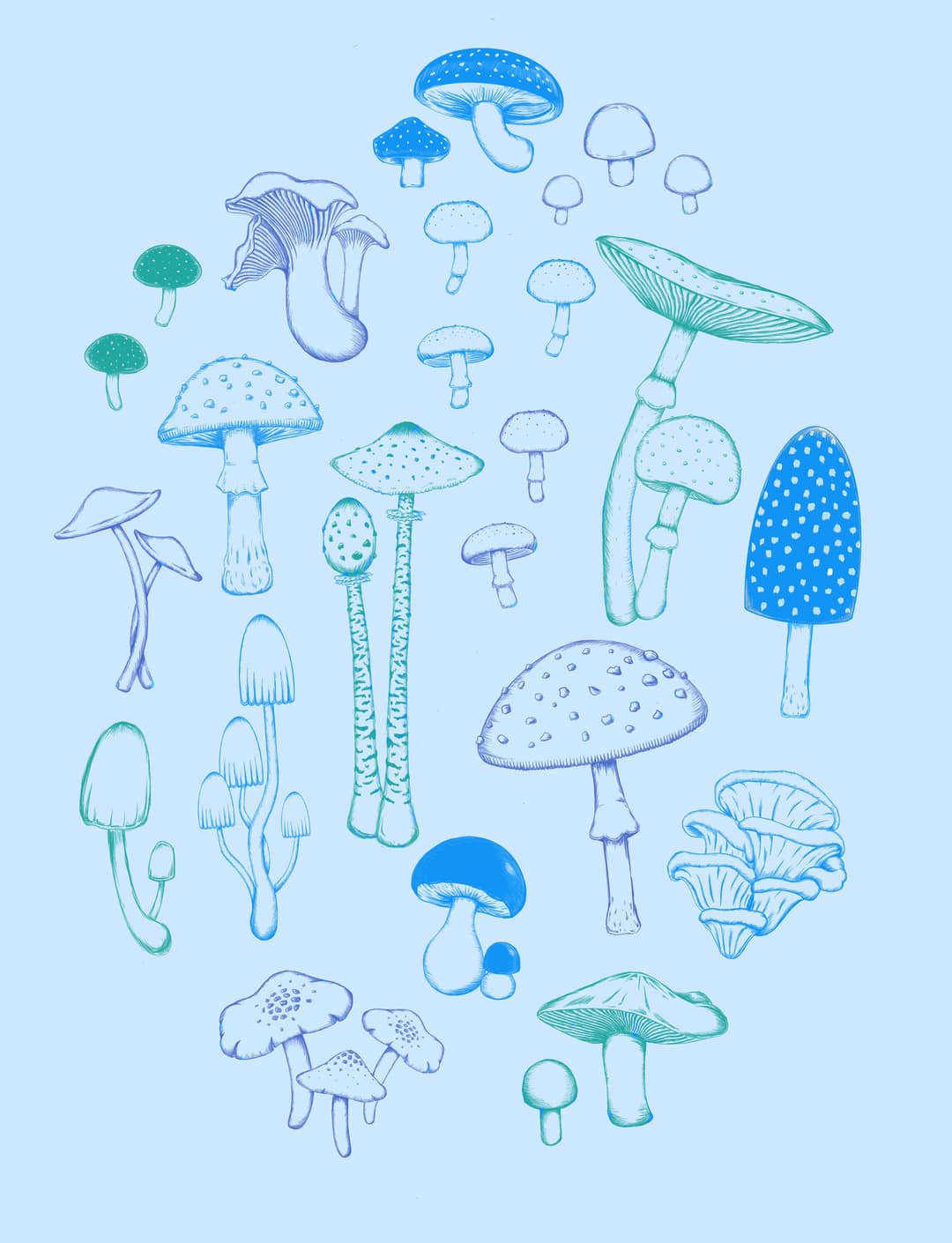 Illustration of mushroom